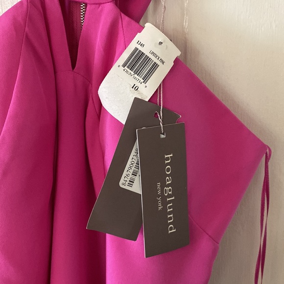 COPY - Hoaglund Pink Dress NWT 10 - Picture 4 of 7